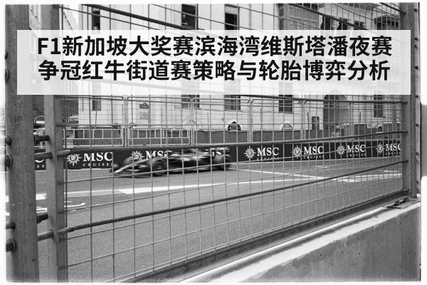 F1新加坡大奖赛滨海湾维斯塔潘夜赛争冠红牛街道赛策略与轮胎博弈分析